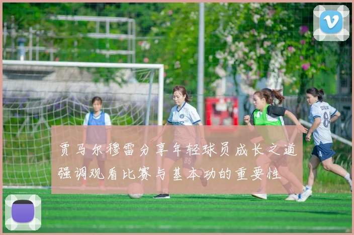贾马尔穆雷分享年轻球员成长之道强调观看比赛与基本功的重要性